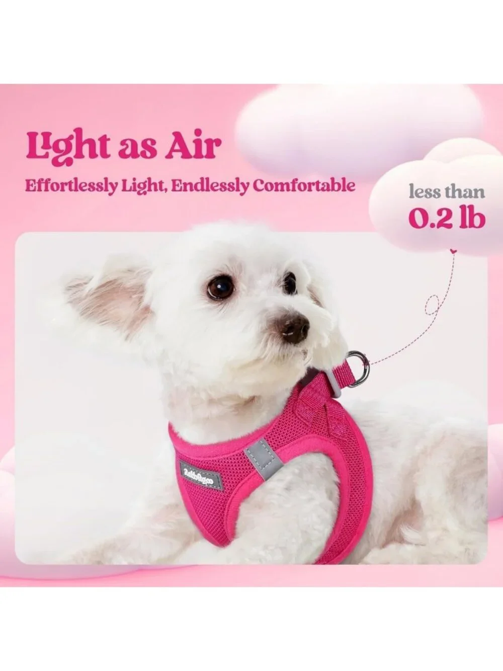 Soft Light Puppy Vest Harness & Leash Set, Breathable Mesh, Reflective, Small